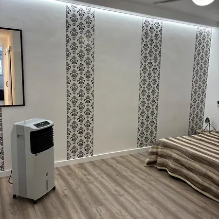 Blanco Y Negro En El Centro אליקאנטה